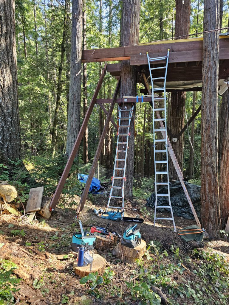 The beginnings of the staircase. I used a downed log as a 'foundation.' I built a small yoke that the staircase floats over, independent of the other structures.