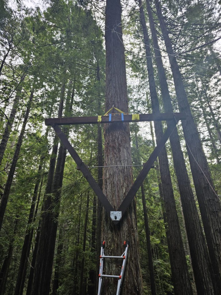 First yoke just went up. I like the term "yoke" but many people call the structure a "tri-beam".