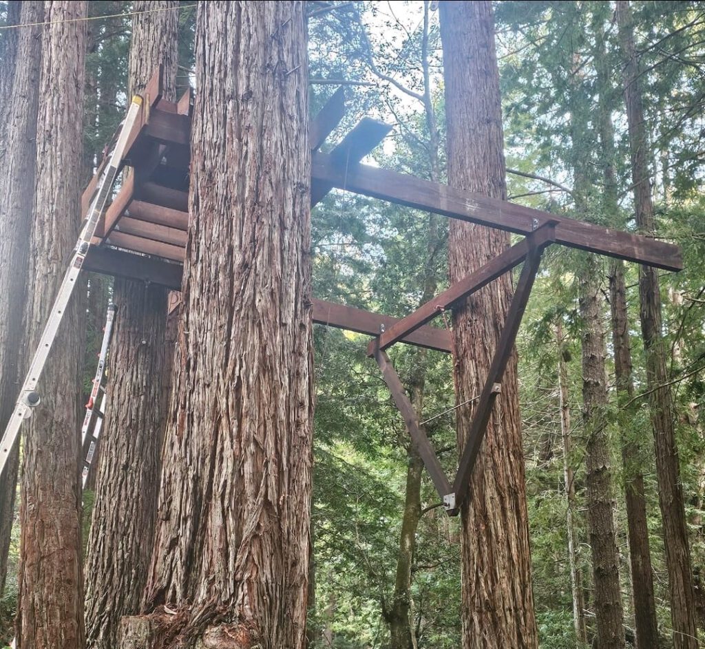 A few joists went up soon after. These I hade to pull up using ropes and my own weight. they are 2x12s, 16 feet long, pressure treated boards.
