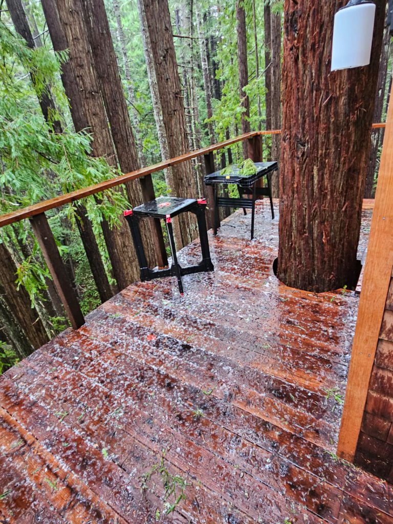 One day we had hail. Redwood is very slippery when wet.