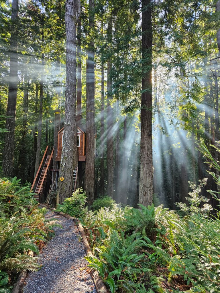 Angelic light. I think the heavens approve.