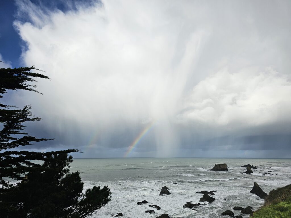 Van Damme after storm