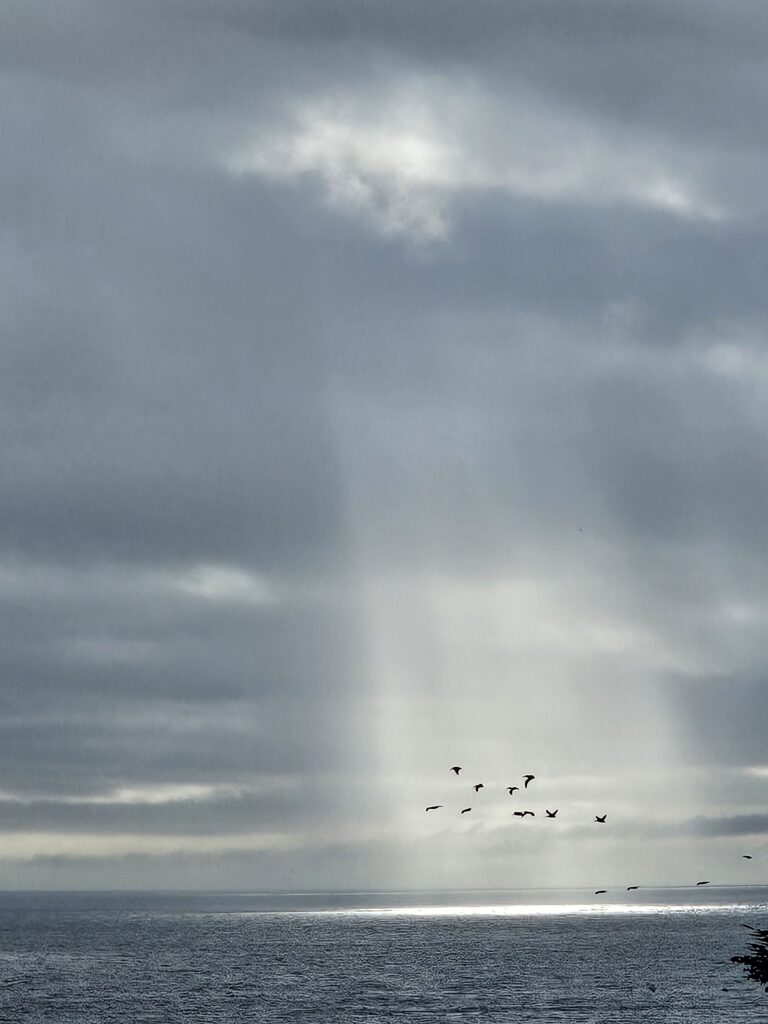 Spotlight