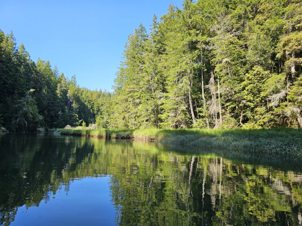 A quiet reflection