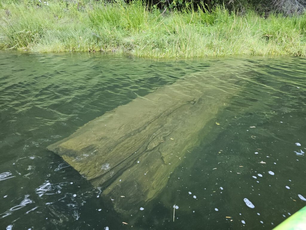 Submerged behemoth