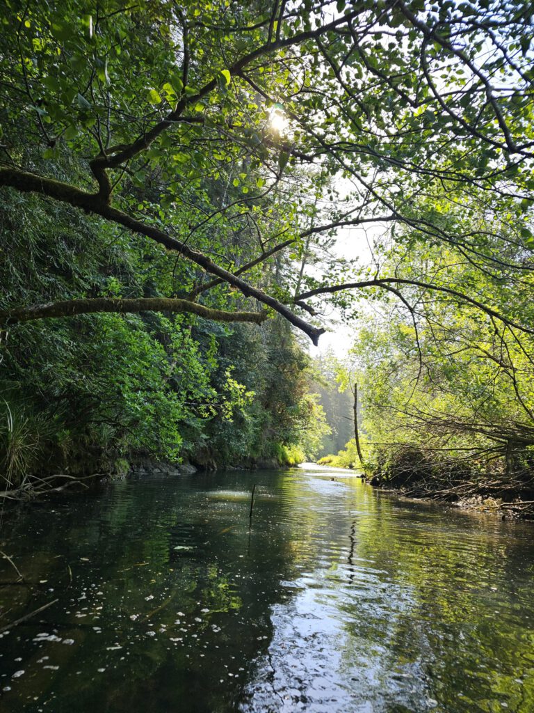 Beautiful passage, close to the end