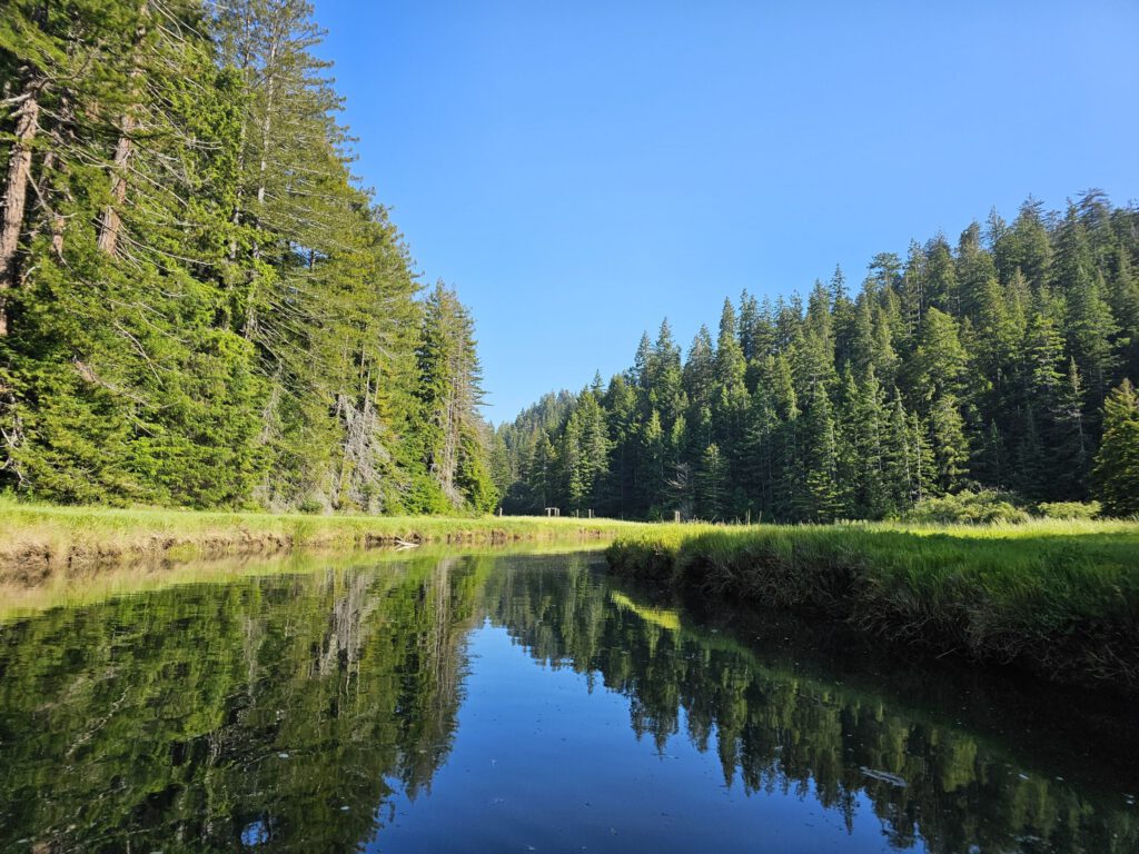 Another quiet reflection