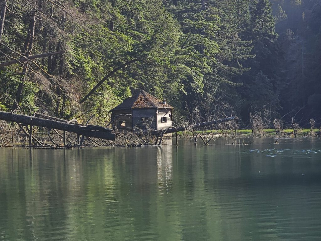 Second, dilapidated, house